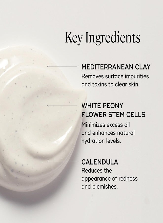 قناع إيفر بيوريفاي للتنظيف العميق وإزالة السموم - مزيج من طين الكاولين وأحماض ألفا هيدروكسي/بيتا هيدروكسي مع خلايا جذعية من الفاوانيا البيضاء - تنظيف عميق أسبوعي للبشرة العادية إلى الدهنية، 2 أونصة سائلة - Image 4